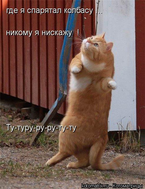 Котоматрица: где я спарятал колбасу ... никому я нискажу  ! Ту-туру-ру-ру-ту-ту