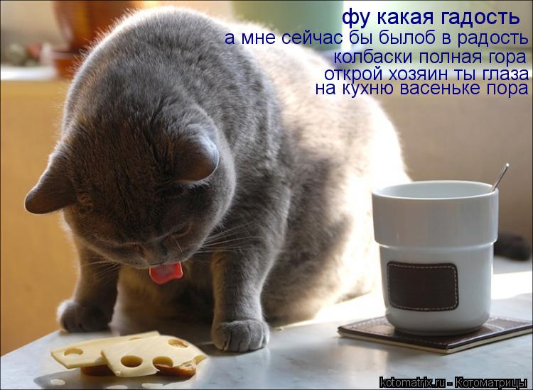 Котоматрица: фу какая гадость а мне сейчас бы былоб в радость колбаски полная гора открой хозяин ты глаза  на кухню васеньке пора