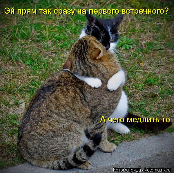 Котоматрица: Эй прям так сразу на первого встречного? А чего медлить то
