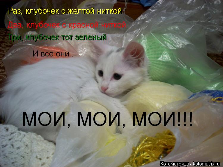 Котоматрица: Раз, клубочек с желтой ниткой Два, клубочек с красной ниткой Три, клубочек тот зеленый И все они... МОИ, МОИ, МОИ!!!