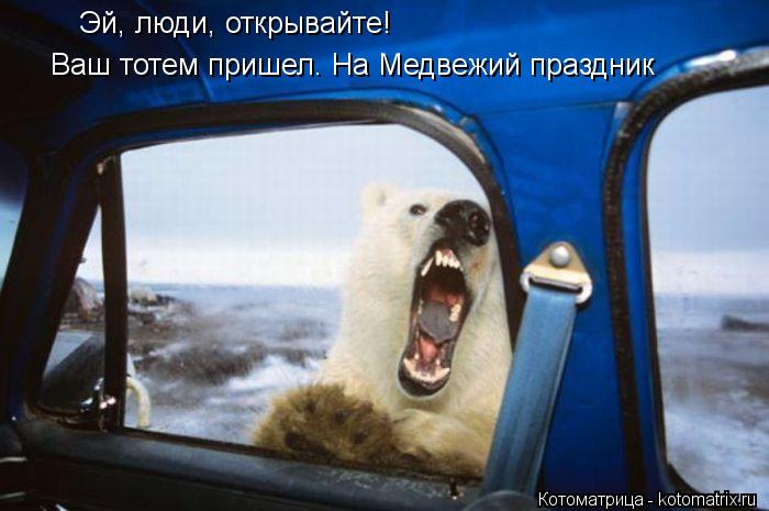 Котоматрица: Эй, люди, открывайте! Ваш тотем пришел. На Медвежий праздник