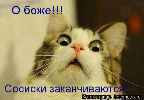Котоматрица: О боже!!! Сосиски заканчиваются!