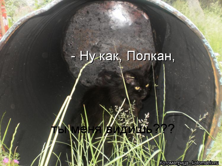 Котоматрица: - Ну как, Полкан, ты меня видишь???
