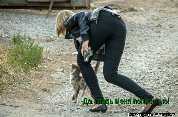 Котоматрица: -Да, гладь меня полностью!