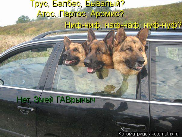 Котоматрица: Атос, Партос, Аромис? Ниф-ниф, наф-наф, нуф-нуф? Трус, Балбес, Бывалый? Нет, Змей ГАВрыныч