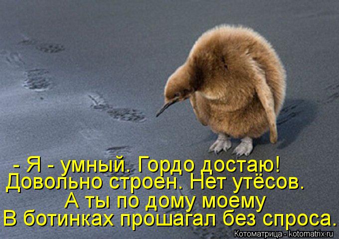 Котоматрица: - Я - умный. Гордо достаю! Довольно строен. Нет утёсов. А ты по дому моему В ботинках прошагал без спроса...