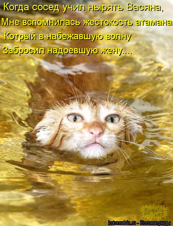 Котоматрица: Когда сосед учил нырять Васяна, Мне вспомнилась жестокость атамана Котрый в набежавшую волну Забросил надоевшую жену....