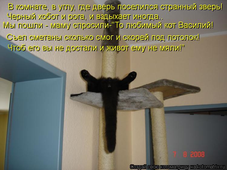 Котоматрица: В комнате, в углу, где дверь поселился странный зверь! Черный хобот и рога, и вздыхает иногда.. Мы пошли - маму спросили-"То любимый кот Васили
