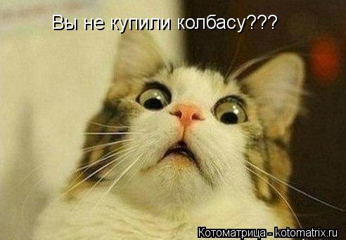Вы не купили колбасу???... Котоматрица: Вы не купили колбасу???