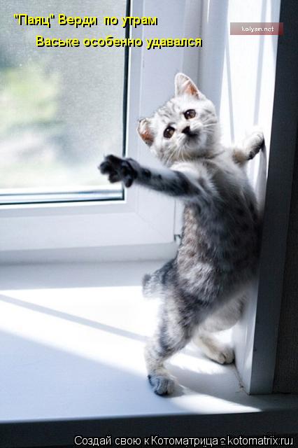 Котоматрица: "Паяц" Верди  по утрам  Ваське особенно удавался