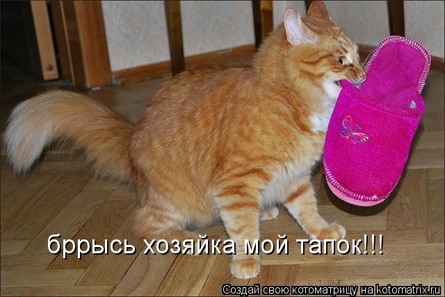 Котоматрица: бррысь хозяйка мой тапок!!!
