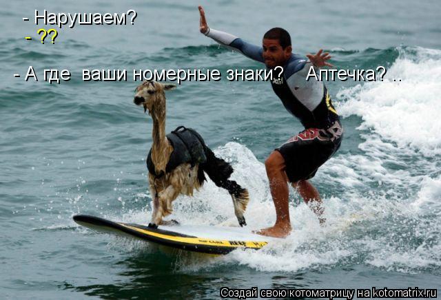 Котоматрица: - Нарушаем? - ?? - А где  ваши номерные знаки?    Аптечка? ..