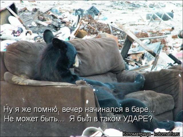 Ну я же помню, вечер начинался в баре... Не может быть... Я был в таком УДАРЕ?... Котоматрица: Ну я же помню, вечер начинался в баре... Не может быть... Я был в таком УДАРЕ?