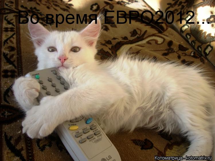 Котоматрица: Во время ЕВРО2012...