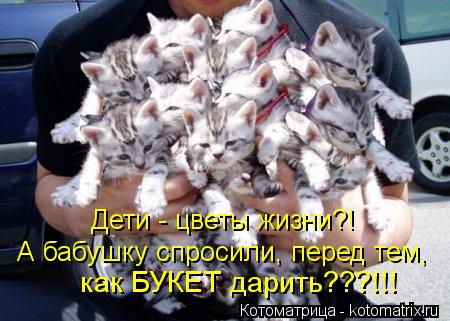 Котоматрица: Дети - цветы жизни?! А бабушку спросили, перед тем, как БУКЕТ дарить???!!!