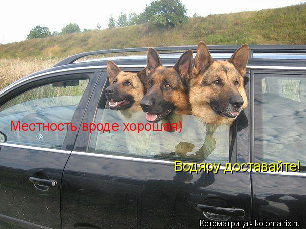 Котоматрица: Местность вроде хорошая) Водяру доставайте!