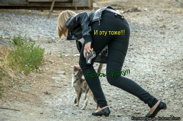 Котоматрица: -Брось пушку!! И эту тоже!!!