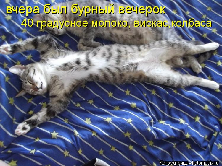 Котоматрица: вчера был бурный вечерок 40 градусное молоко, вискас,колбаса