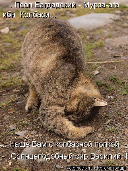 Котоматрица: ..Псол Багдадский - Мурза-ага   ибн  Колбаси...  ...Наше Вам с колбасной попкой  -   - ..Солнцеподобный сир Василий..!!!