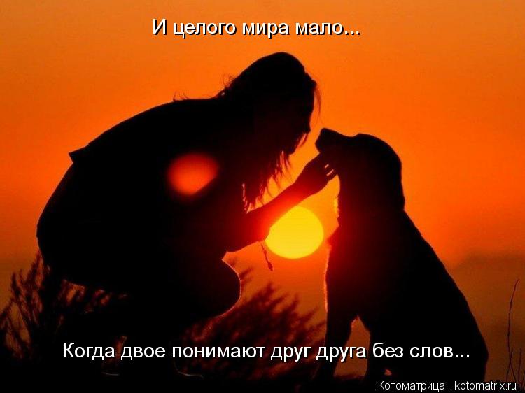 Котоматрица: И целого мира мало... Когда двое понимают друг друга без слов...
