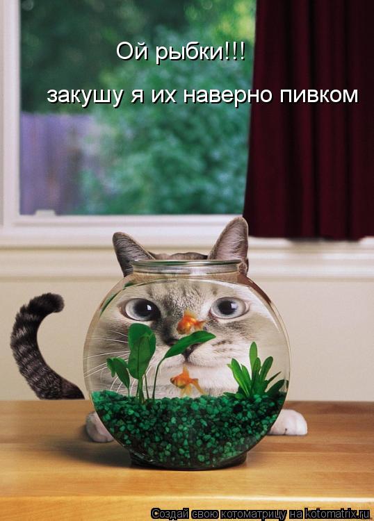 Котоматрица: закушу я их наверно пивком Ой рыбки!!!