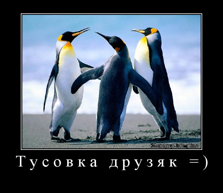 Котоматрица: Тусовка друзяк =) 