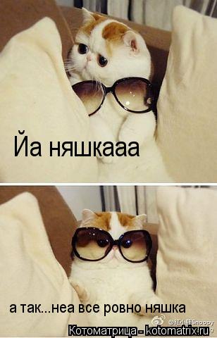 Котоматрица: Йа няшкааа а так...неа все ровно няшка
