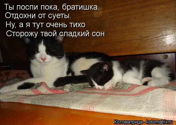 Пожелание спокойный ночью для брата Пожелание спокойный ночью для брата