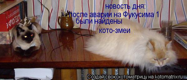 Котоматрица: новость дня: после аварии на Фукусима 1 были найдены  кото-змеи