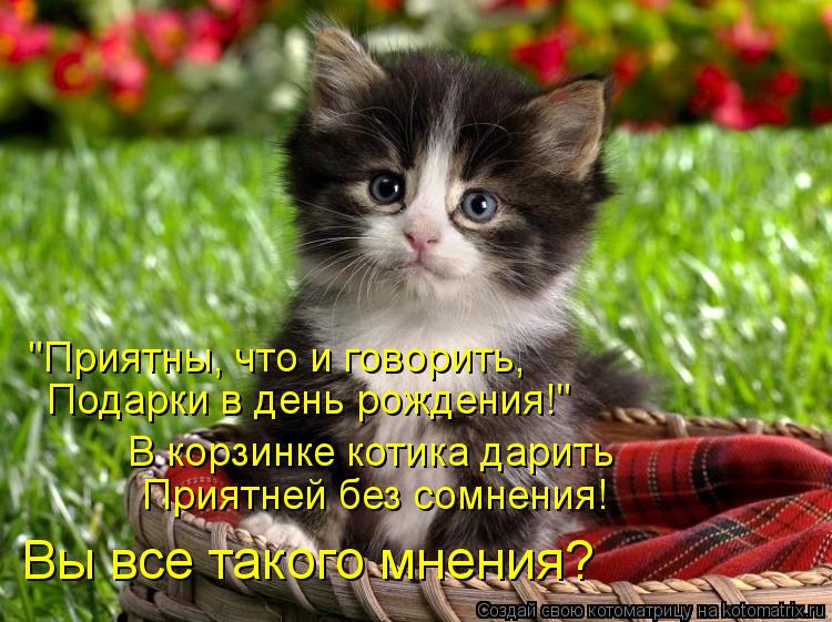 Котоматрица: "Приятны, что и говорить, Подарки в день рождения!" В корзинке котика дарить Приятней без сомнения! Вы все такого мнения?
