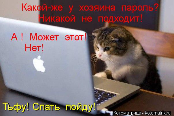 Котоматрица: Какой-же  у  хозяина  пароль? Никакой  не  подходит! А !  Может  этот! Нет! Тьфу! Спать  пойду!