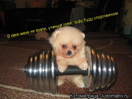 Котоматрица: В кино меня не взяли, ученым тоже, тьфу буду спортсменом