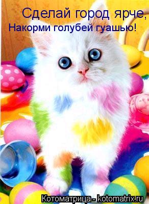 Котоматрица: Сделай город ярче, Накорми голубей гуашью!