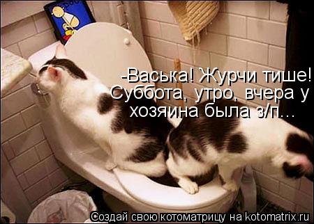 Котоматрица: -Васька! Журчи тише! Суббота, утро, вчера у хозяина была з/п...