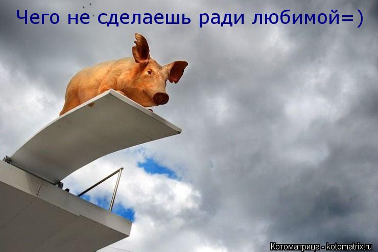 Чего не сделаешь ради любимой=)... Котоматрица: Чего не сделаешь ради любимой=)