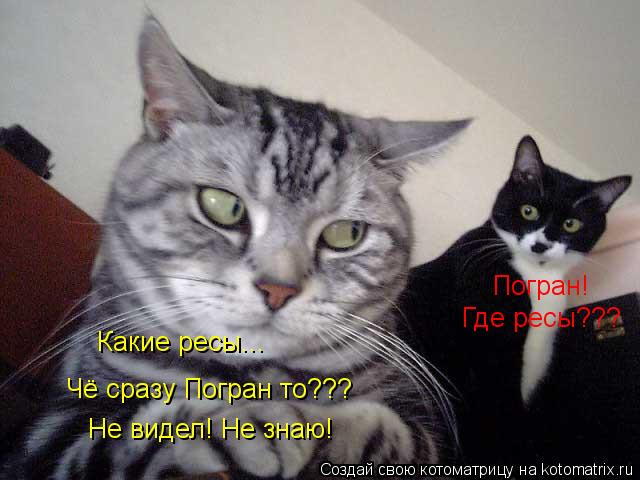 Погран! Где ресы??? Какие ресы... Чё сразу Погран то??? Не видел! Не знаю!... Котоматрица: Погран! Где ресы??? Какие ресы... Чё сразу Погран то??? Не видел! Не знаю!
