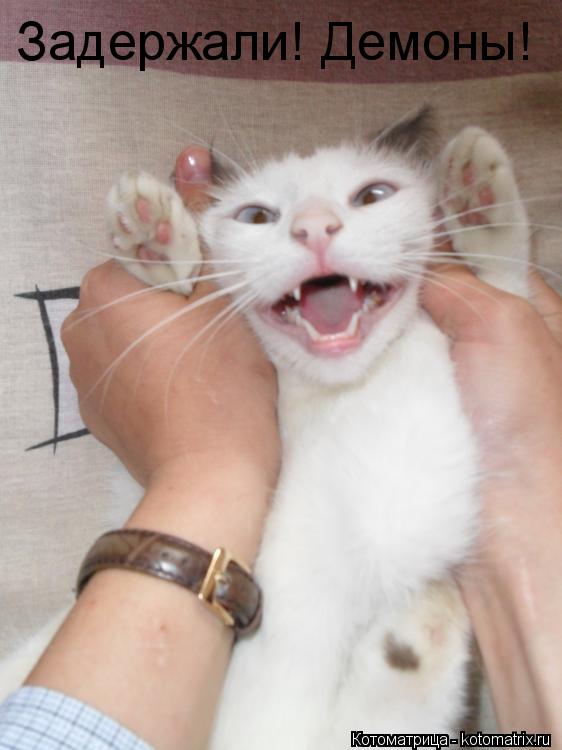 Задержали! Демоны!... Котоматрица: Задержали! Демоны!