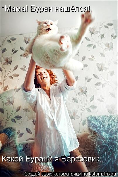 Котоматрица: Мама! Буран нашёлся!  - Какой Буран? я Берёзовик...