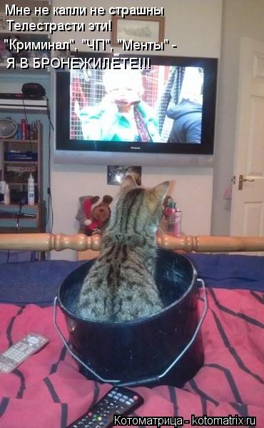 Котоматрица: Мне не капли не страшны Телестрасти эти! "Криминал", "ЧП", "Менты" - Я В БРОНЕЖИЛЕТЕ!!!