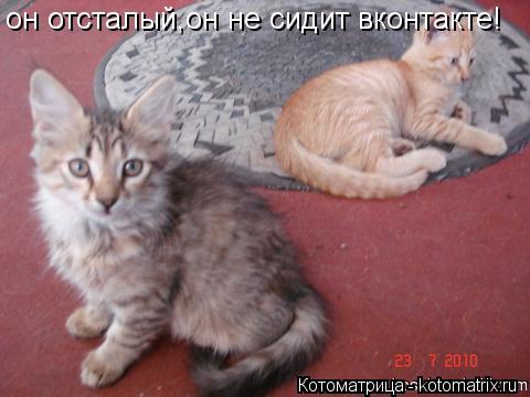 Котоматрица: он отсталый,он не сидит вконтакте!