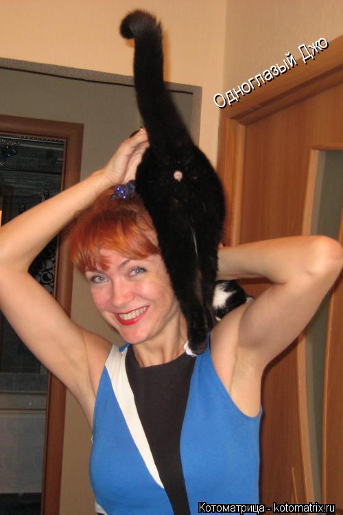 Одноглазый Джо... Котоматрица: Одноглазый Джо