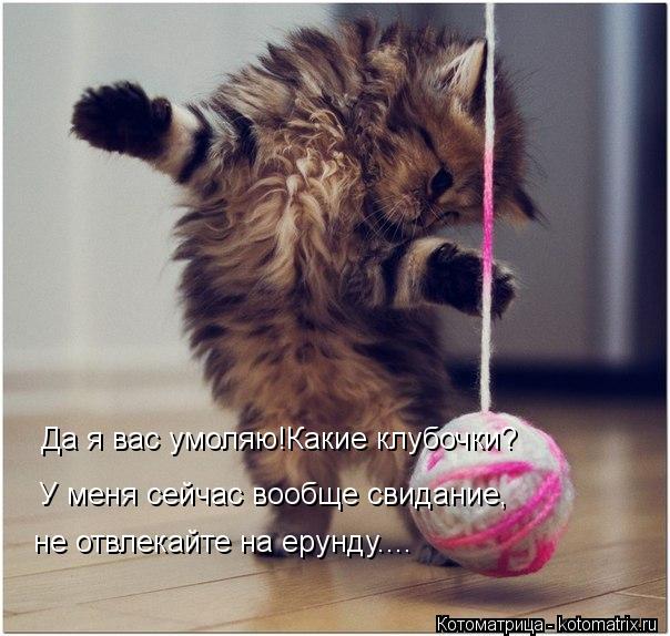 Да я вас умоляю!Какие клубочки? У меня сейчас вообще свидание, не отвлекайте на ерунду....... Котоматрица: Да я вас умоляю!Какие клубочки? У меня сейчас вообще свидание, не отвлекайте на ерунду....