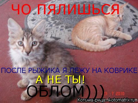 Котоматрица: ЧО ПЯЛИШЬСЯ ПОСЛЕ РЫЖИКА Я ЛЕЖУ НА КОВРИКЕ А НЕ ТЫ! ОБЛОМ)))
