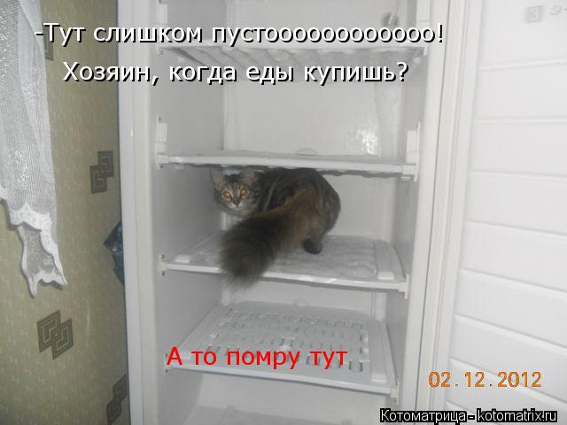Котоматрица: -Тут слишком пустоооооооооооо!  Хозяин, когда еды купишь? А то помру тут