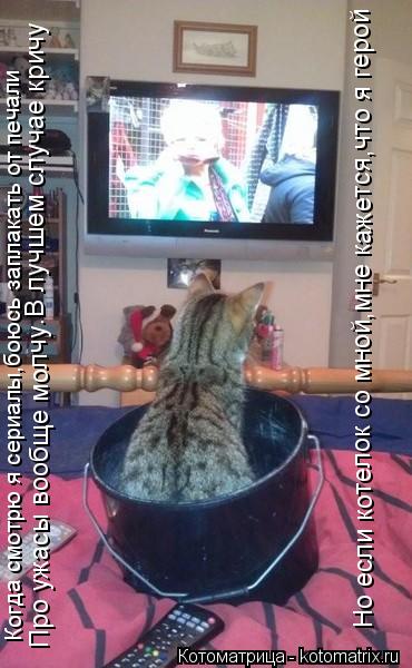 Котоматрица: Когда смотрю я сериалы,боюсь заплакать от печали Про ужасы вообще молчу.В лучшем случае кричу Но если котелок со мной,мне кажется,что я геро