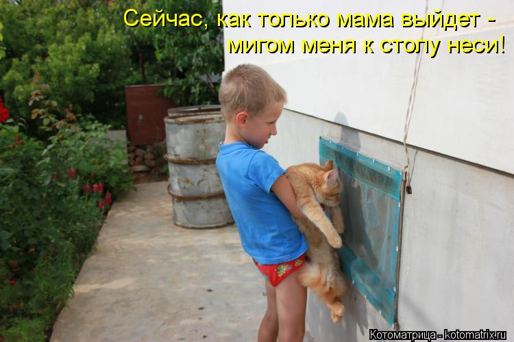Котоматрица: Сейчас, как только мама выйдет - мигом меня к столу неси!