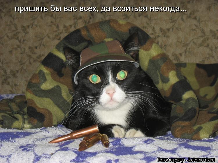 Котоматрица: пришить бы вас всех, да возиться некогда...