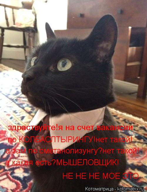 Котоматрица: здраствуйте!я на счет вакансии по КОЛБАСЛТЫРИНГУ!нет такой! а зам по сметанолизунгу?нет такой! а какая есть?МЫШЕЛОВЩИК! НЕ НЕ НЕ МОЕ ЭТО