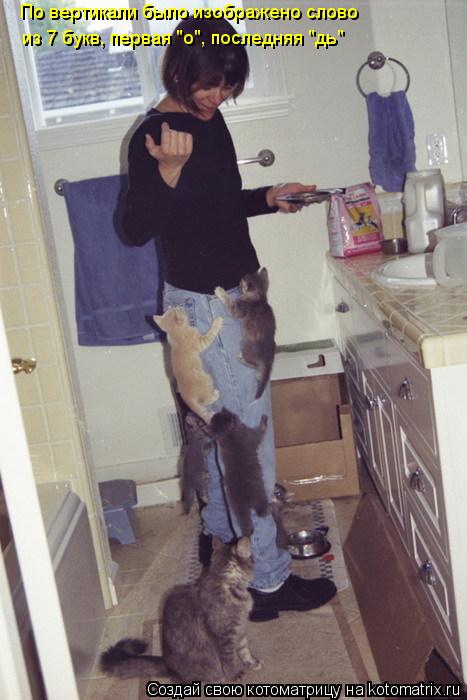 Котоматрица: По вертикали было изображено слово из 7 букв, первая "о", последняя "дь"