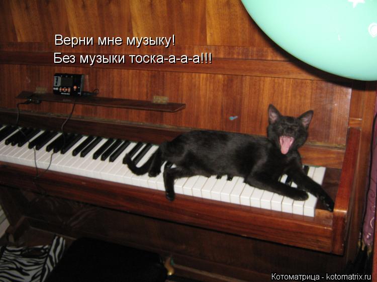 Скачать песни с вк за раз